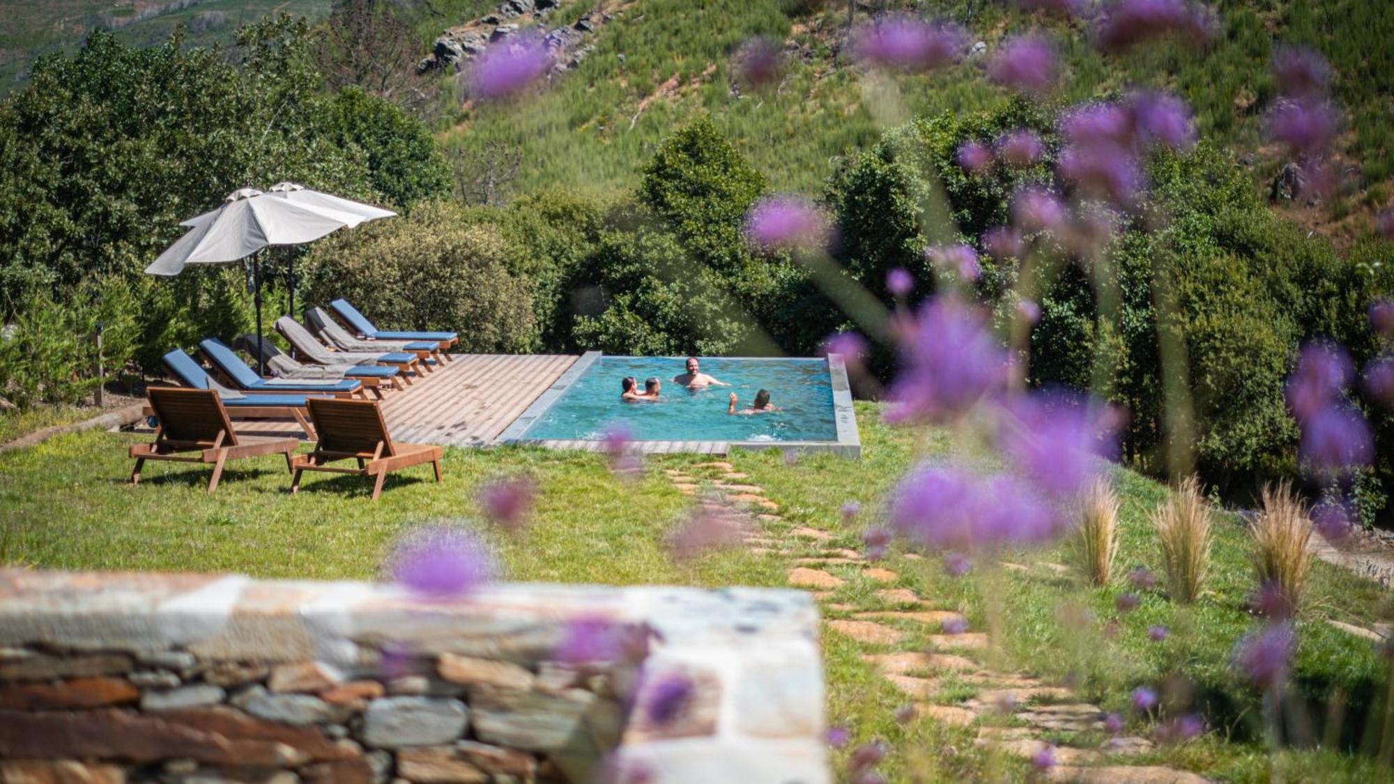 Terrasense Mountain Charm Retreat & Farm Apartment Videmonte ภายนอก รูปภาพ